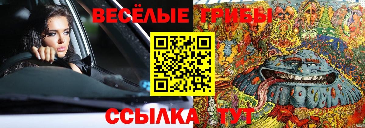 Галлюциногенные грибы Magic Shrooms  Псилоцибиновые грибы GOLDEN TEACHER  Вход с VPN  как найти закладки  Великие Луки 