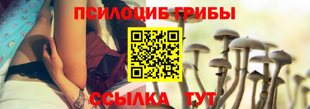 Галлюциногенные грибы мицелий Великие Луки